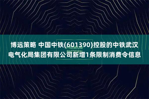 博远策略 中国中铁(601390)控股的中铁武汉电气化局集团有限公司新增1条限制消费令信息