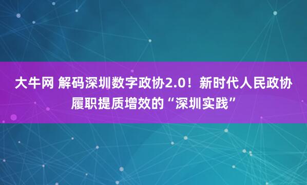 大牛网 解码深圳数字政协2.0！新时代人民政协履职提质增效的“深圳实践”