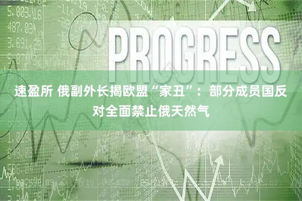 速盈所 俄副外长揭欧盟“家丑”：部分成员国反对全面禁止俄天然气
